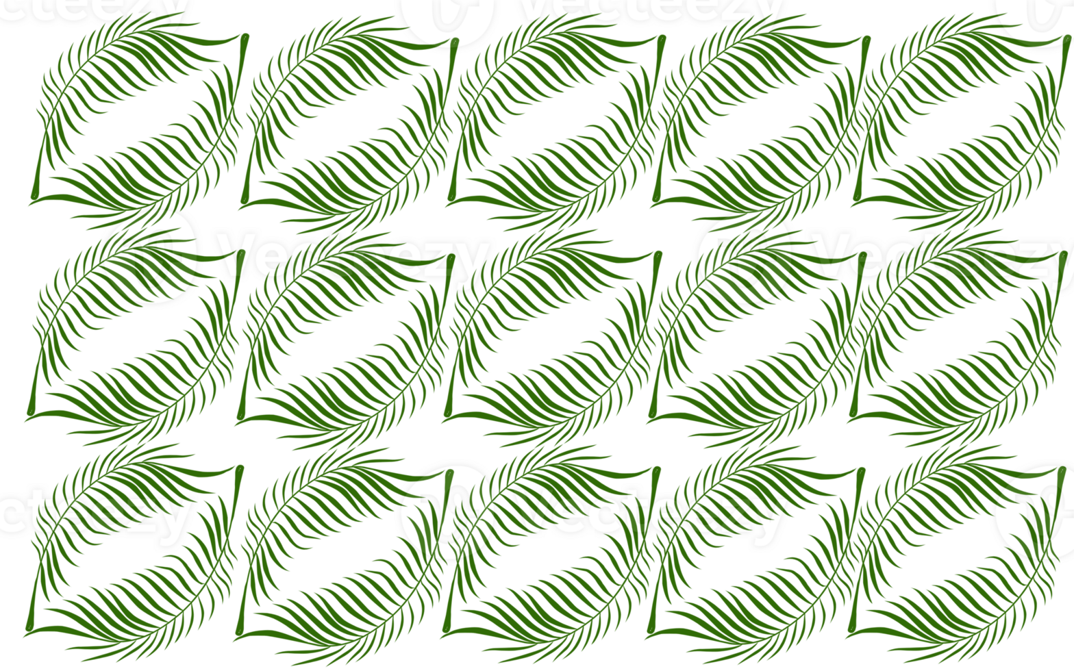 Summer monstera leaves pattern png