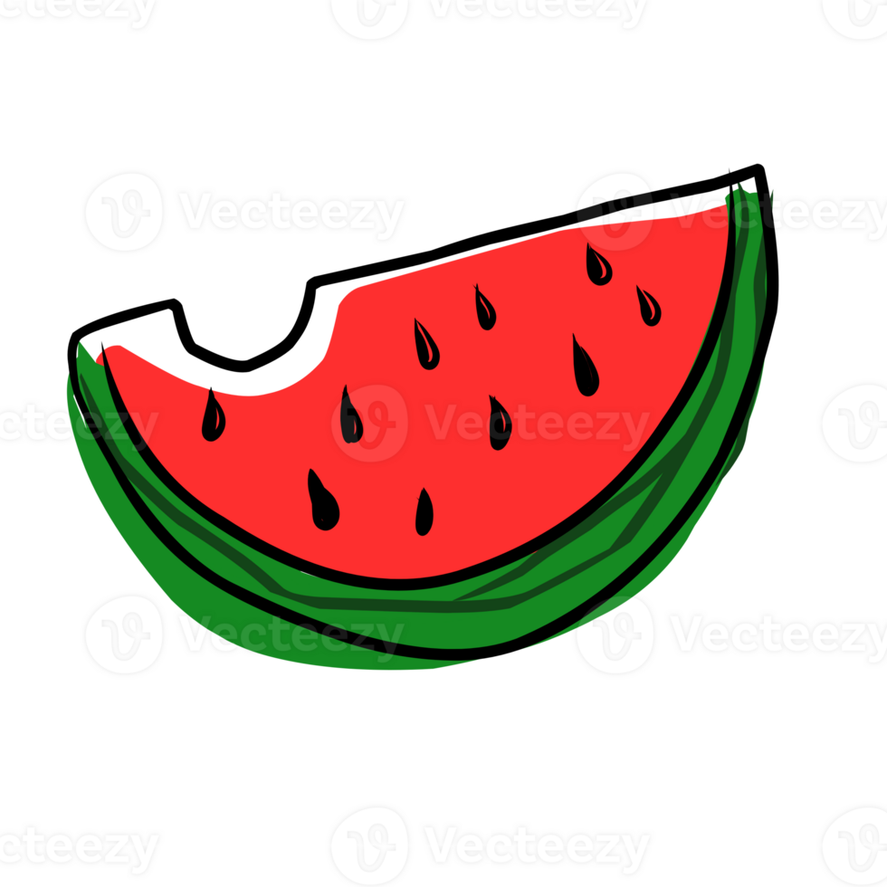 Watermelon summer illustration png