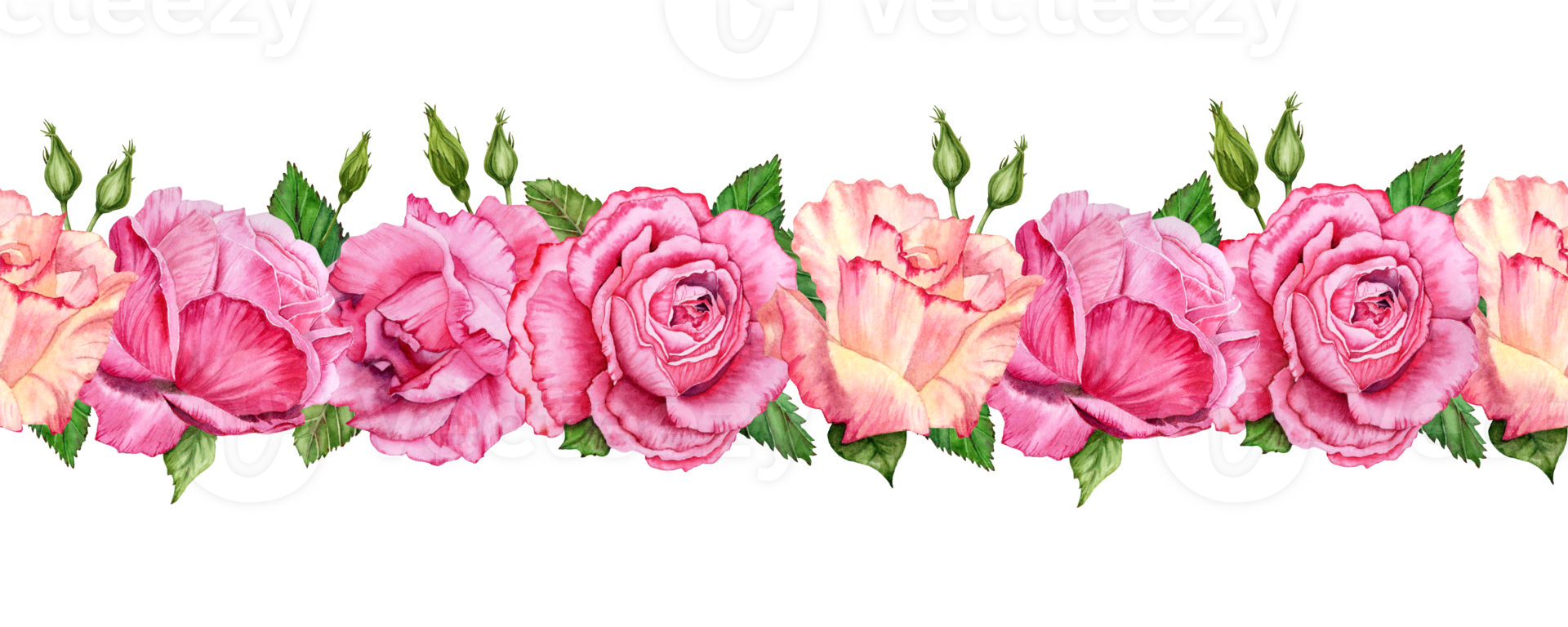 Pink roses seamless border Flowers with leaves endless element. Drawn watercolor illustration isolated on transparent background. Floral ribbon, birthday or wedding gift and card, adhesive tape design png