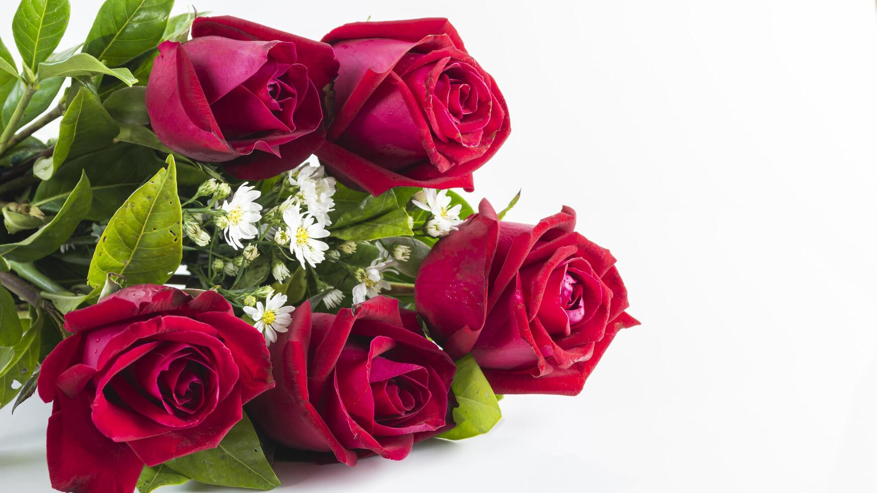 a bouquet of red roses and daisies on a white background photo