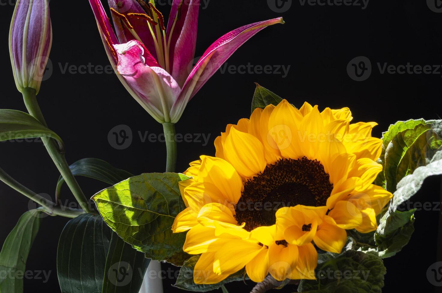 a yellow sunflower with lily photo