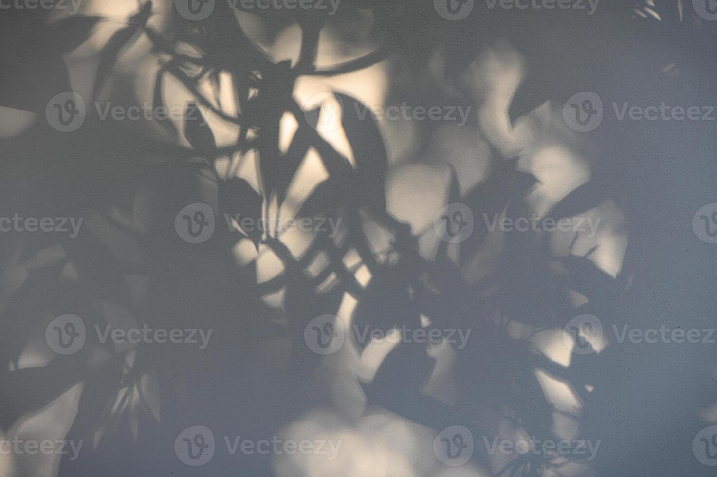 Trees branch and leaf with shadow on yellow paper background. Place for text, copy space, top view 1 photo
