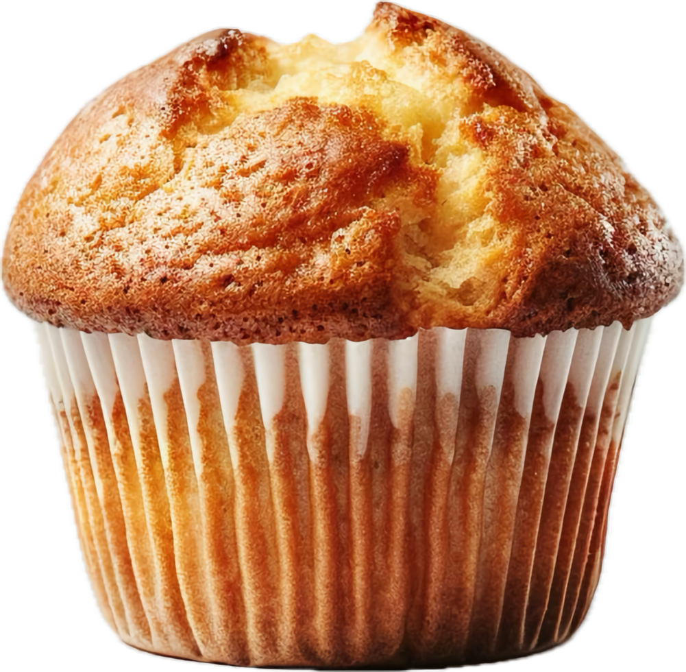 Golden Brown Muffin in Paper Cup png