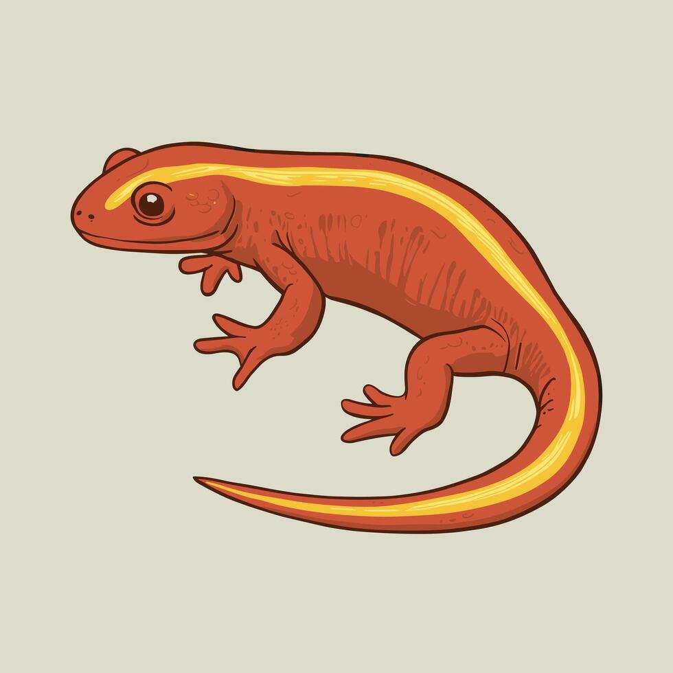 salamander animal. image white background vector