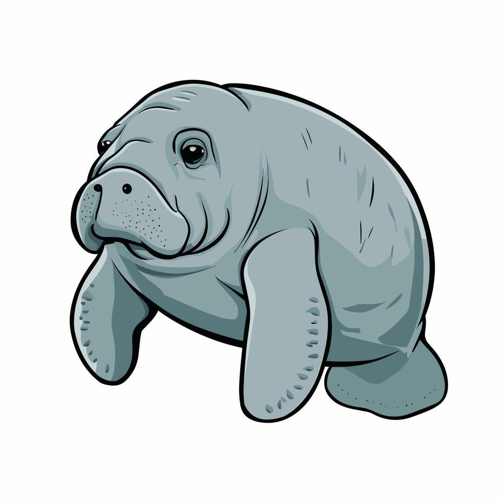 Cute cartoon manatee isolated on white background. Hand drawn illustration of Sea cow. vector