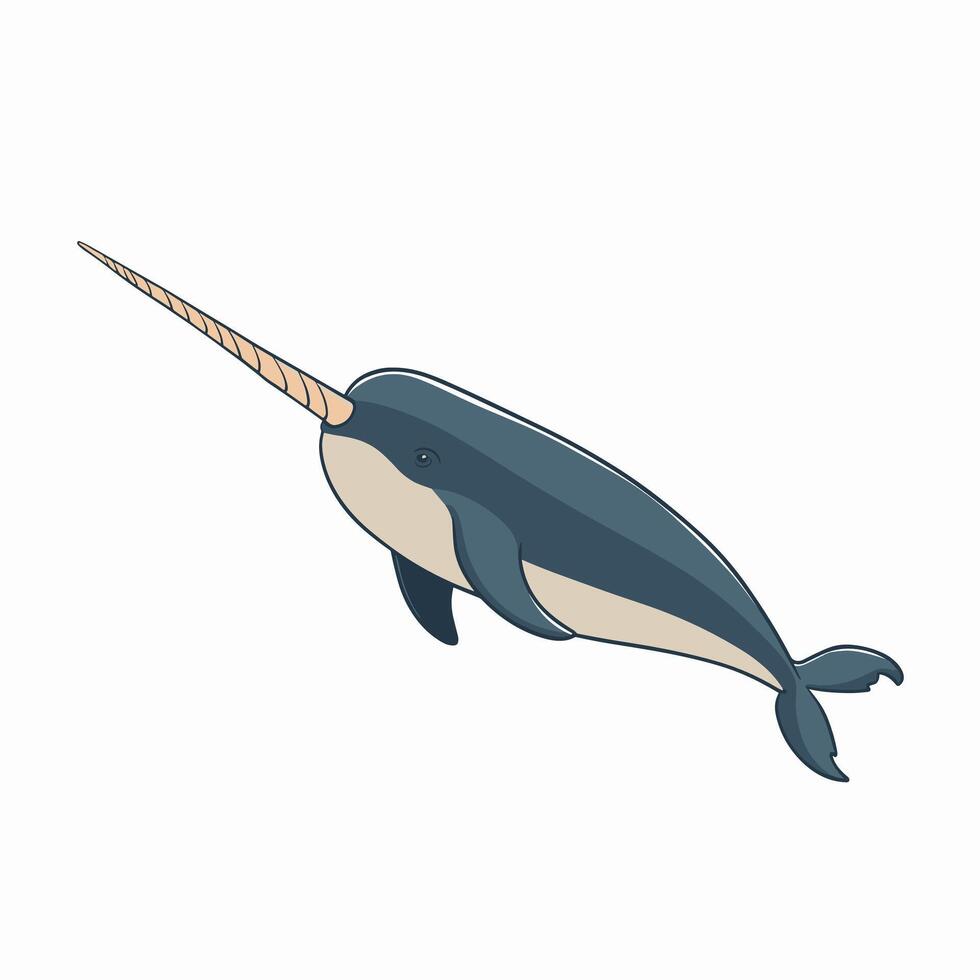 Cute and adorable cartoon narwhal white background vector