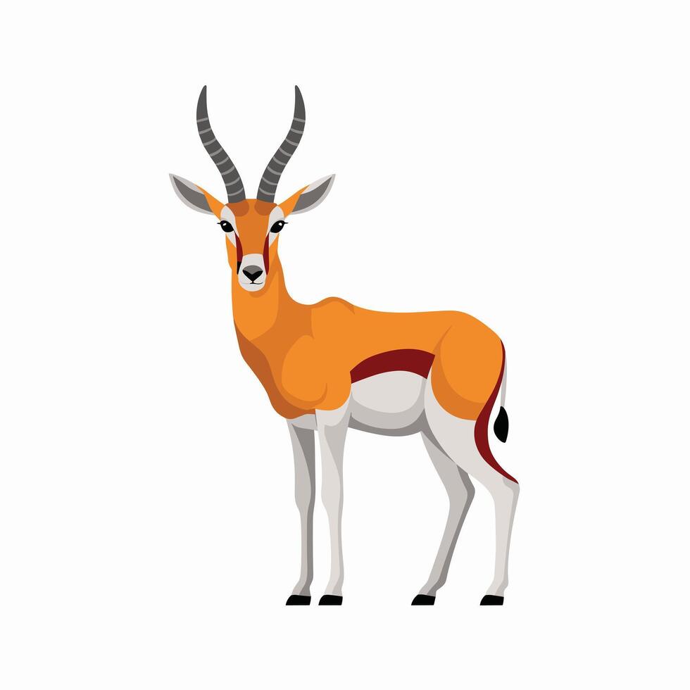 gazelle cartoon animal design flat illustration on white background side view antelope vector