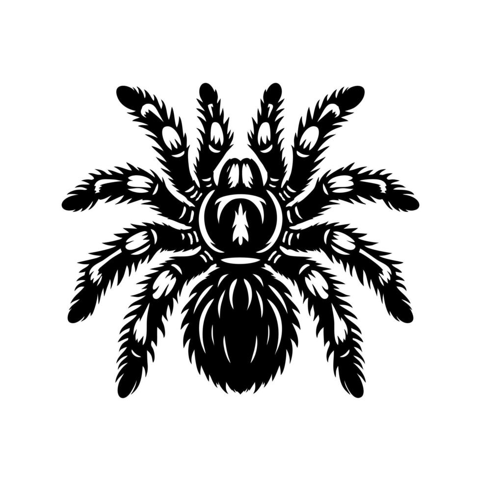 tarantula logo illustration design, Tarantula logo design vector