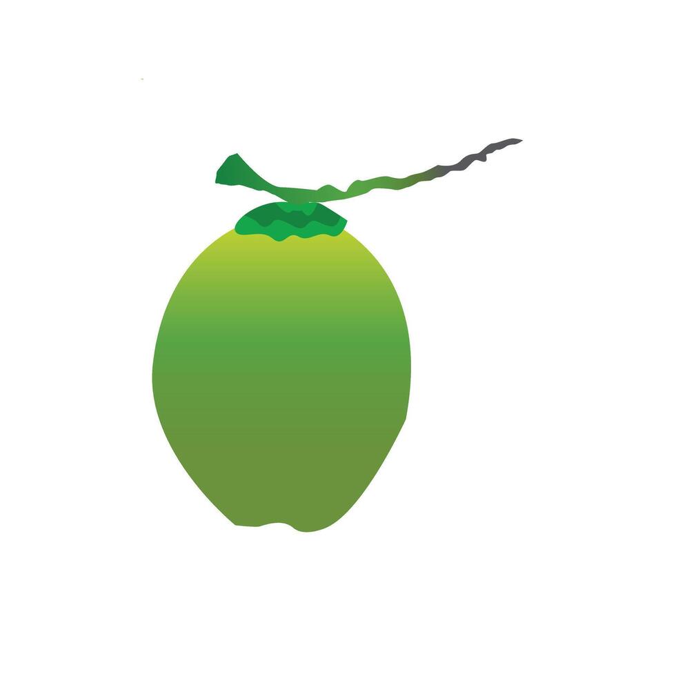 Green Coconut Daab vector