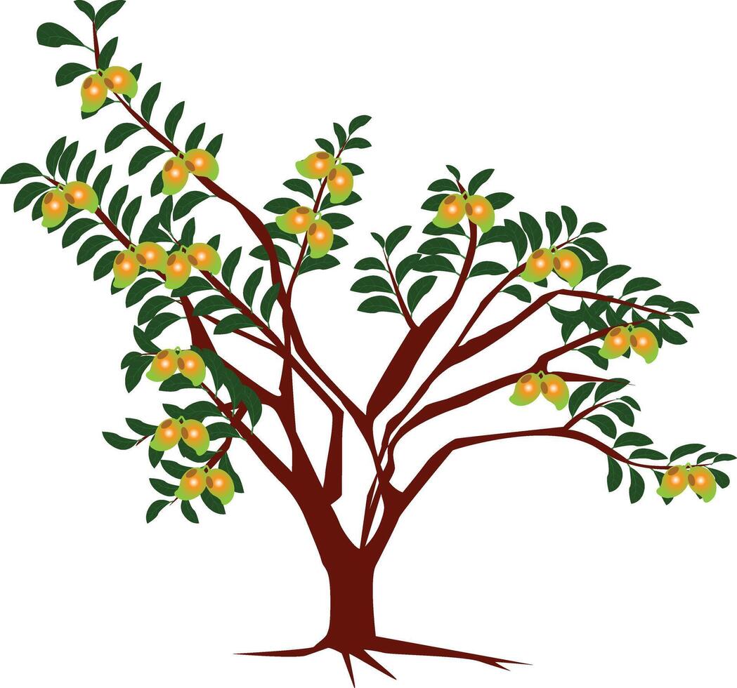 Mango Tree Clipart Ripe Mango vector