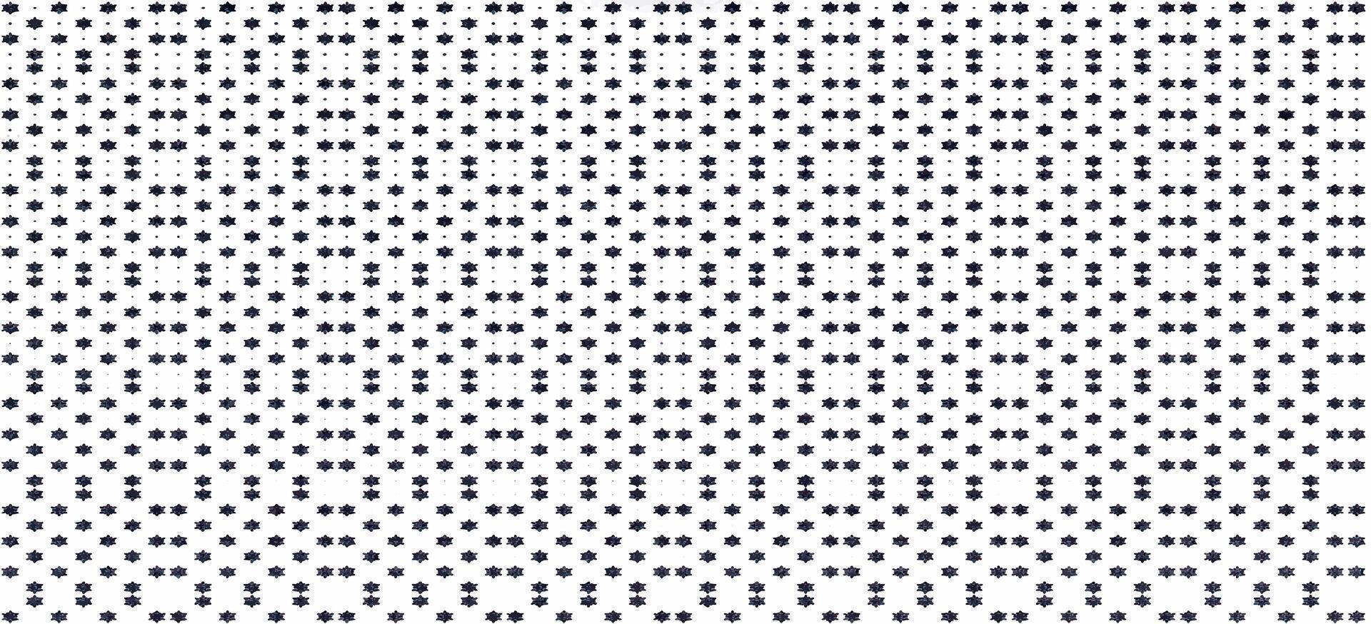 snowflakes pattern in black and white vector