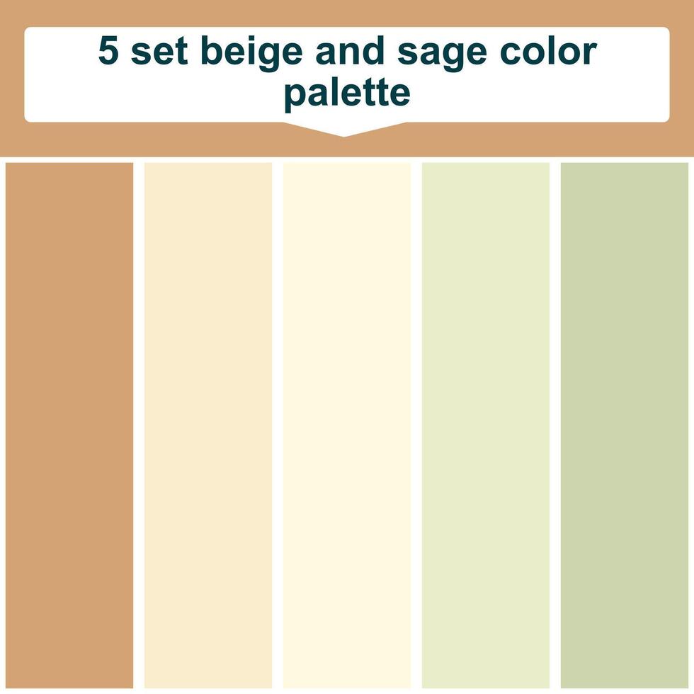 5 set beige and sage color palette. Elegant sage and beige colors palette. Beautiful color palette vector