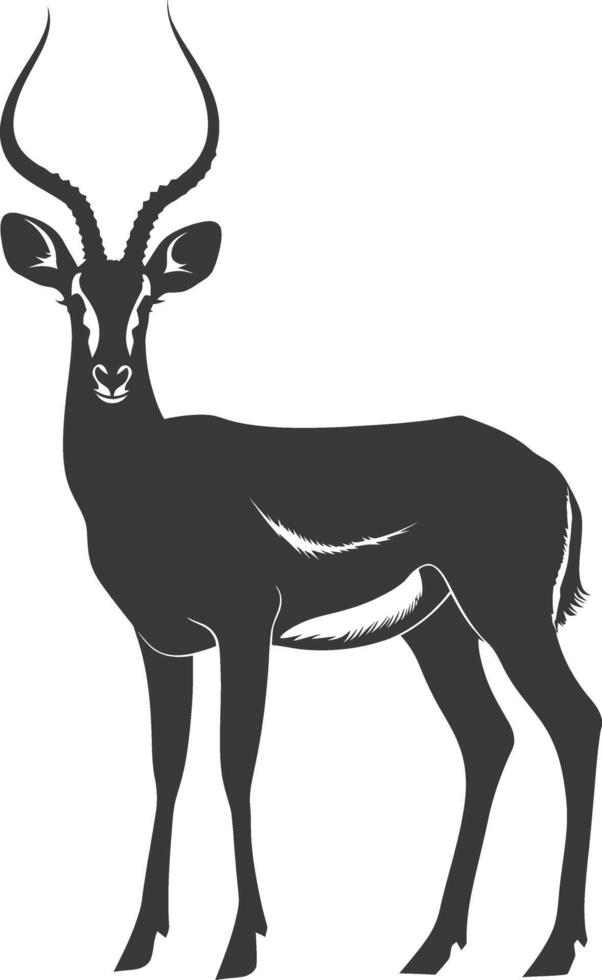 Silhouette impala animal full body black color only vector