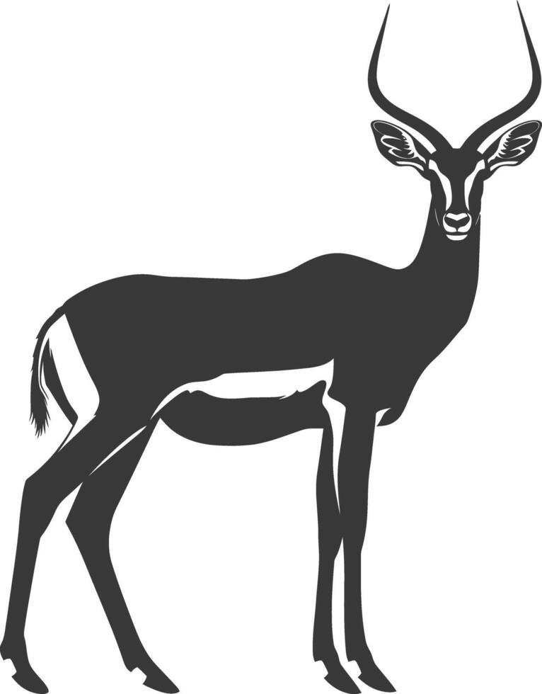 Silhouette impala animal full body black color only vector