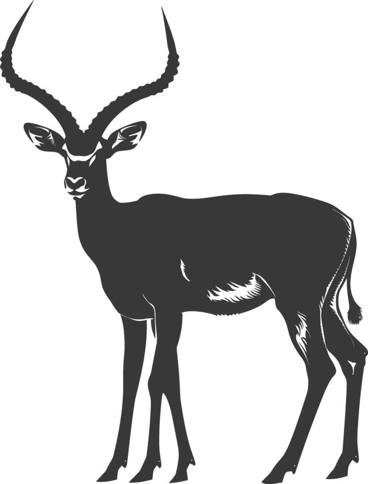 Silhouette impala animal full body black color only vector