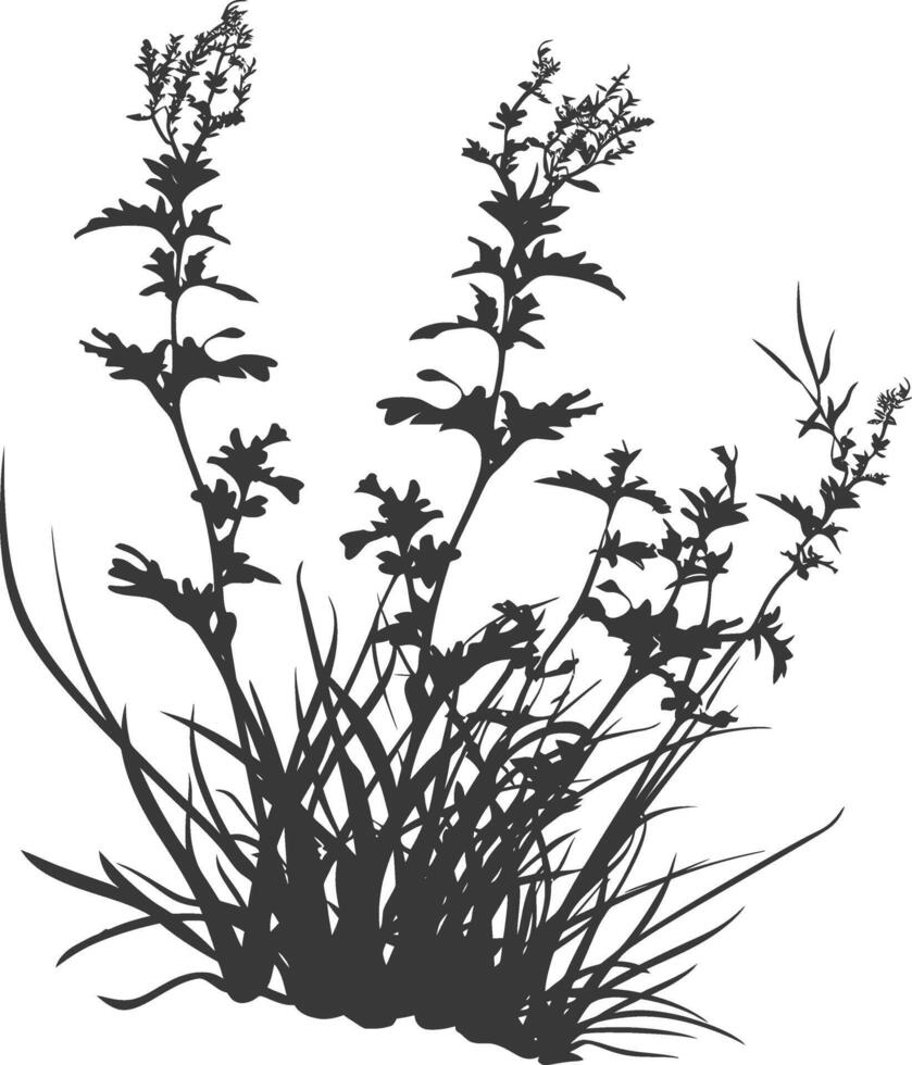 Silhouette seaweed plant black color only vector