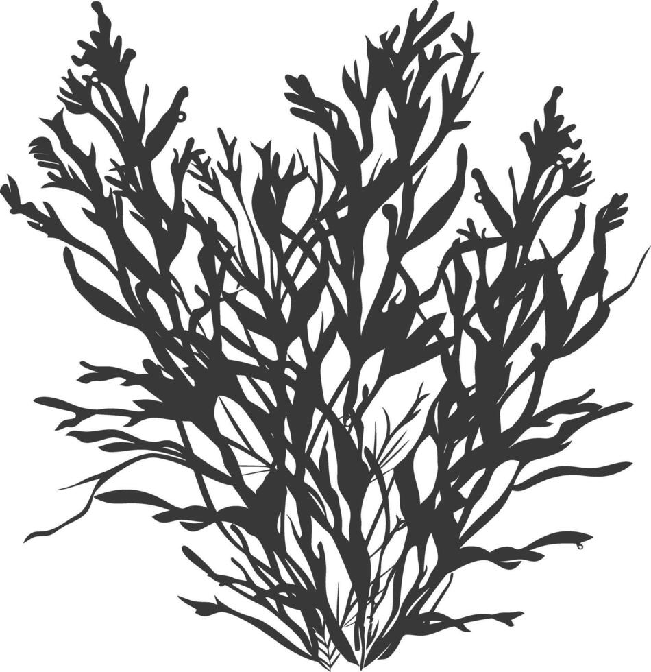 Silhouette seaweed plant black color only vector