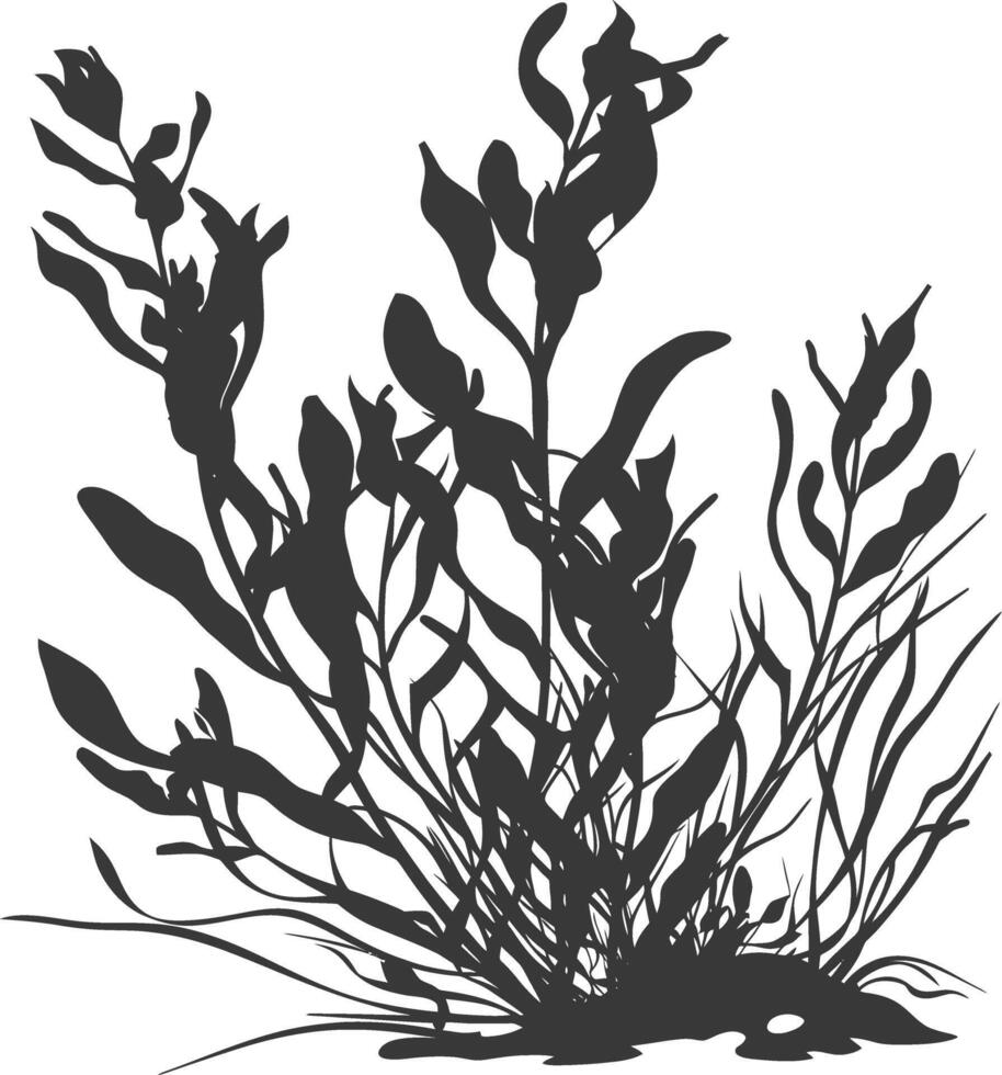Silhouette seaweed plant black color only vector