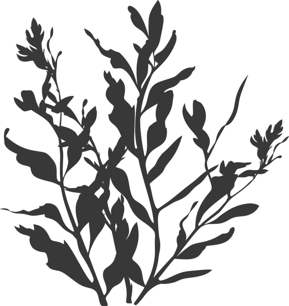 Silhouette seaweed plant black color only vector