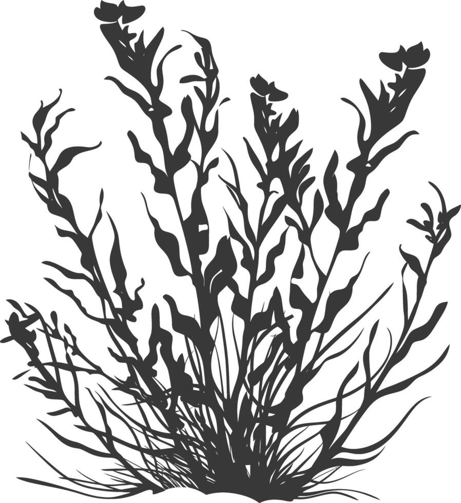 Silhouette seaweed plant black color only vector