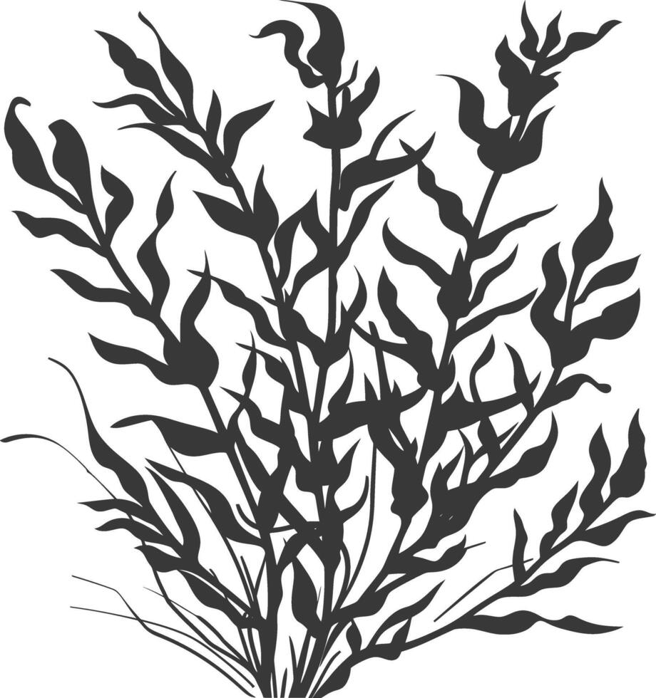 Silhouette seaweed plant black color only vector