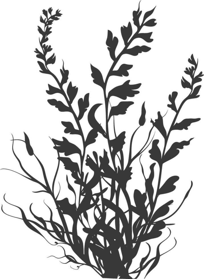 Silhouette seaweed plant black color only vector