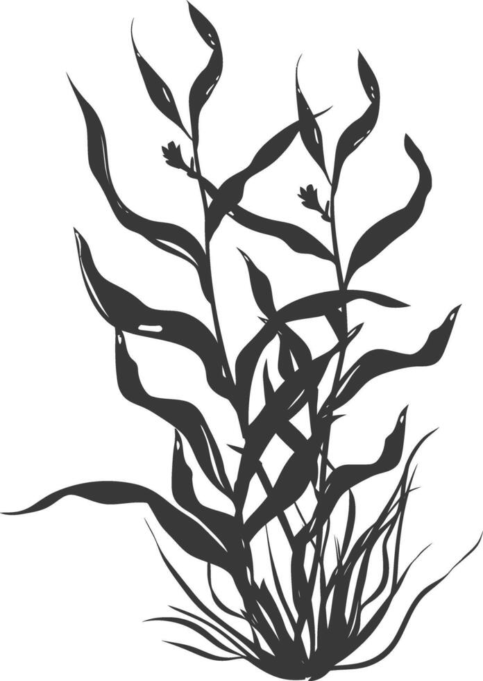 Silhouette seaweed plant black color only vector