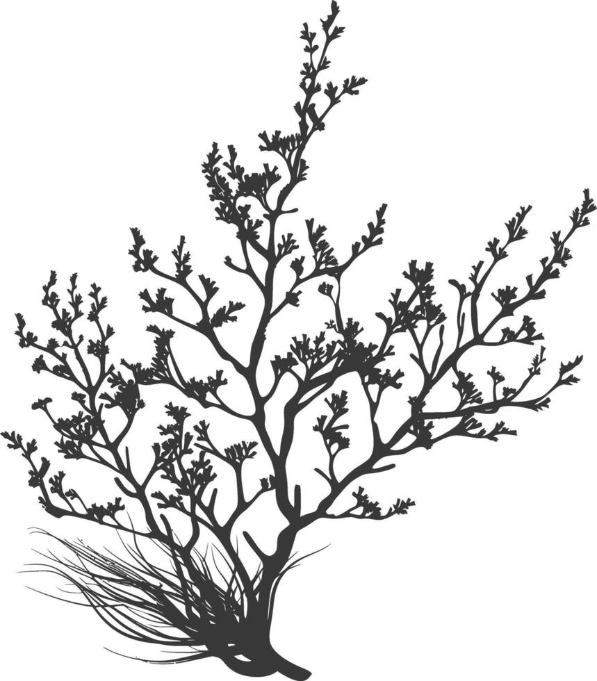 Silhouette seaweed plant black color only vector