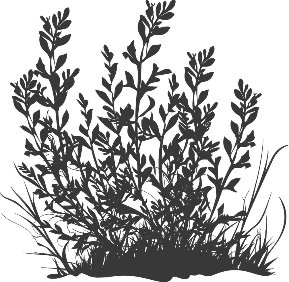 Silhouette seaweed plant black color only vector