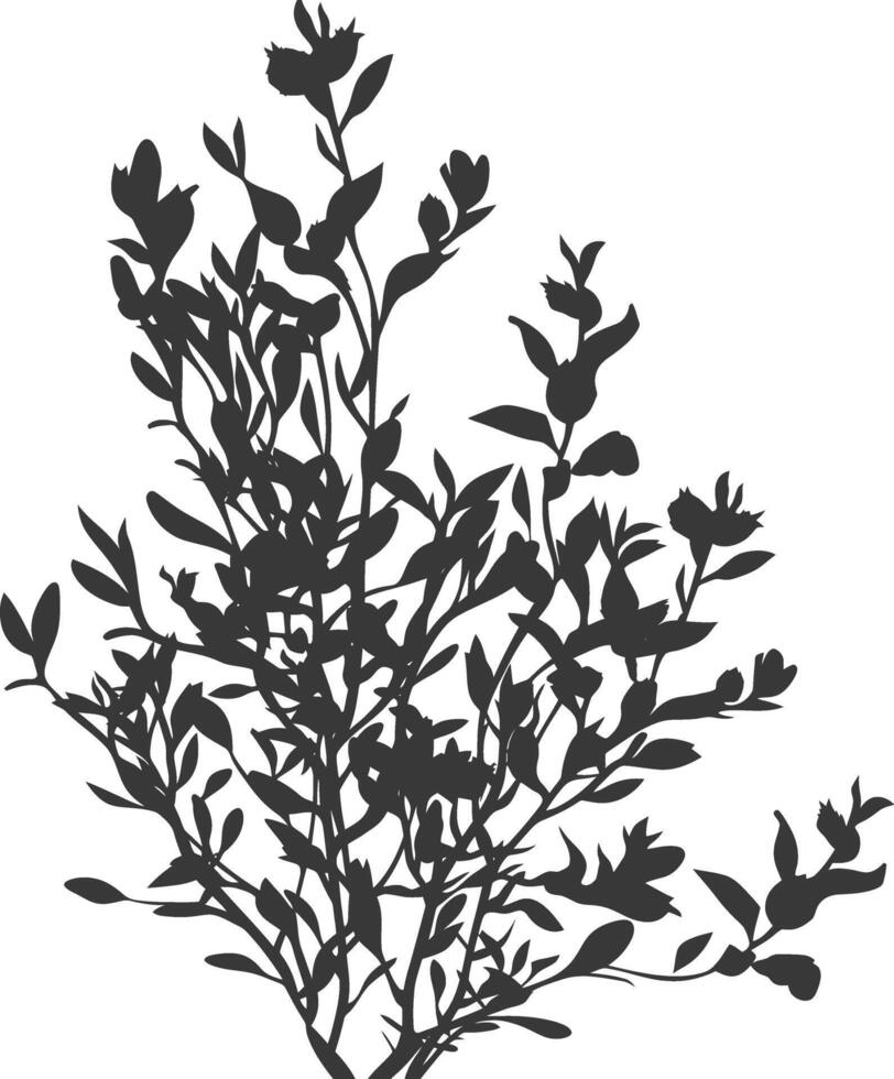 Silhouette seaweed plant black color only vector