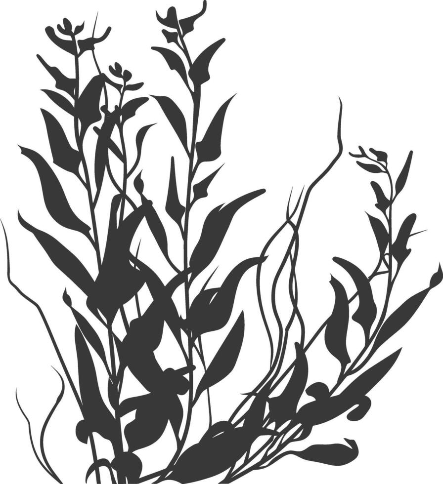 Silhouette seaweed plant black color only vector