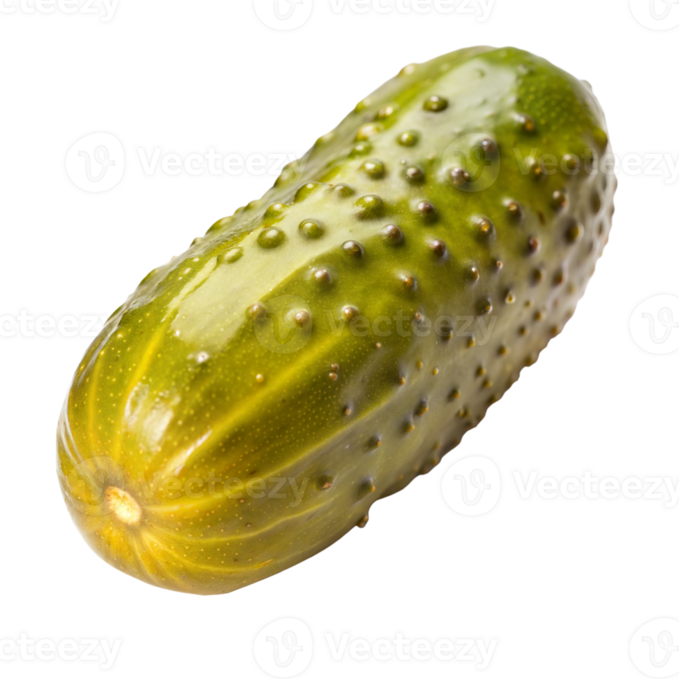 A single fresh green pickle with bumpy texture isolated on a transparent background in studio light png