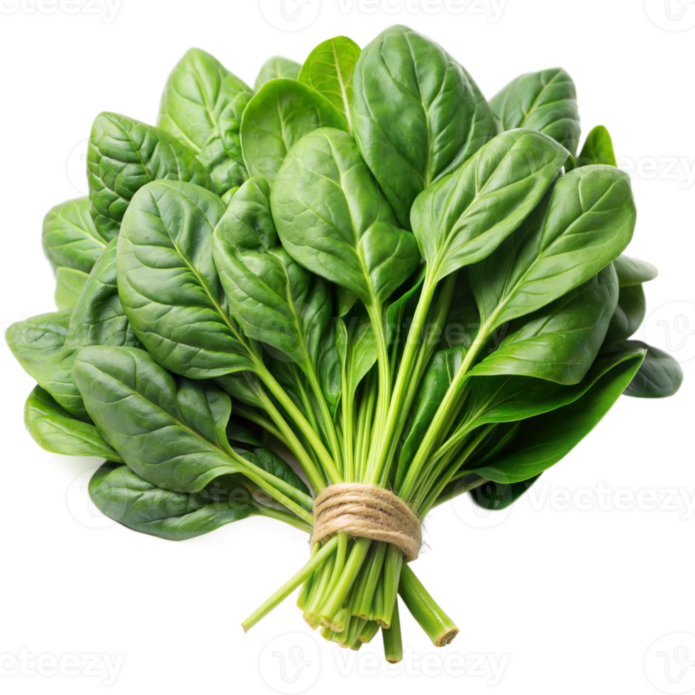 A fresh bunch of vibrant green spinach leaves tied with burlap twine against a checkered transparent background png