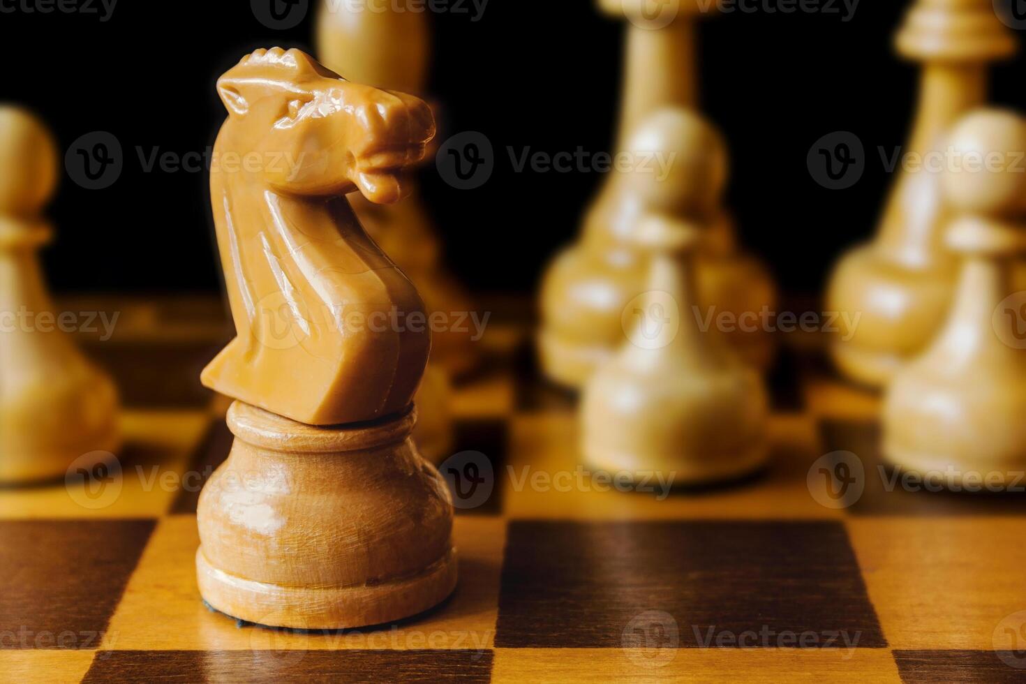 Wooden chess white pieces, knight in focus photo