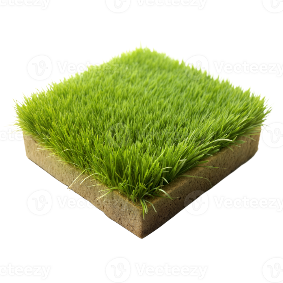 A high-quality, detailed view of an artificial grass square with a transparent background png