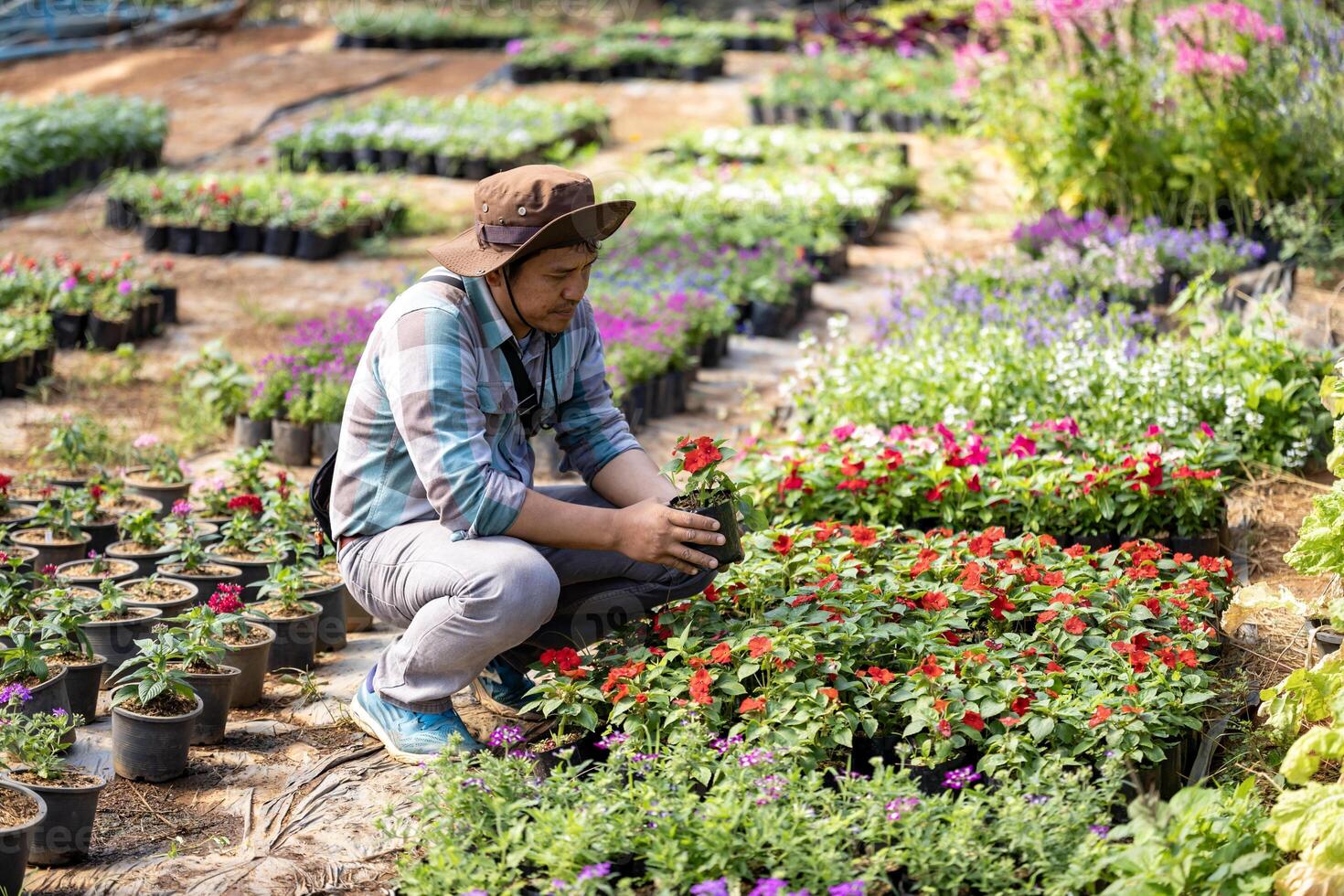 Young Asian gardener is choosing flowering plant from the local garden center nursery full of summer plant for weekend gardening and outdoor hobby photo
