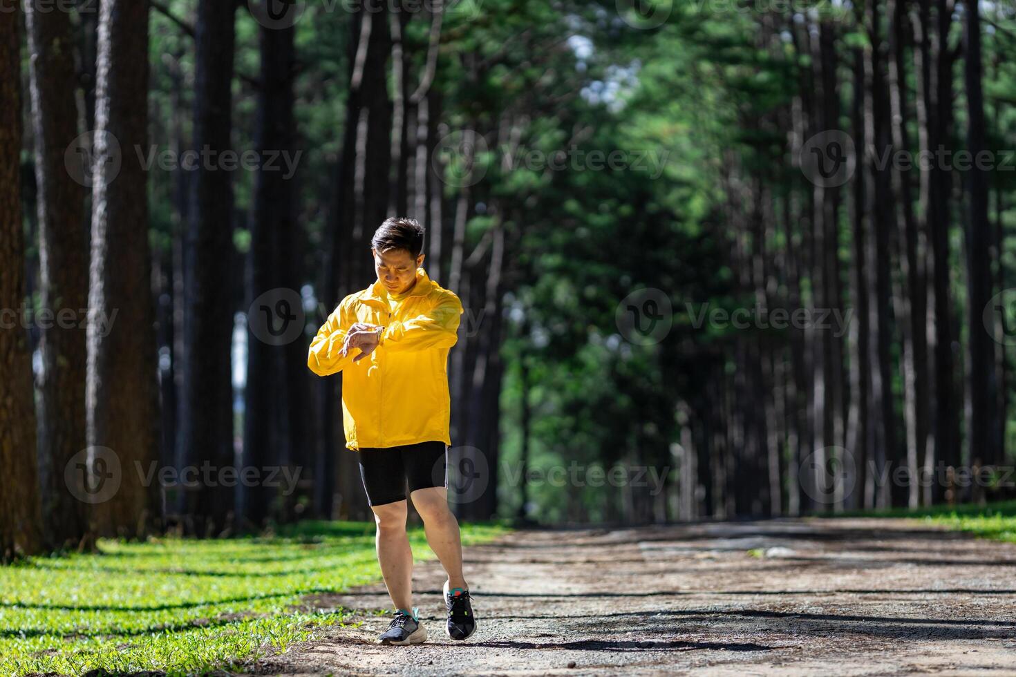 Asian trail runner is running outdoor in pine forest dirt road for exercise and workout activities training while checking smart watch on calories loss achieve healthy lifestyle and fitness concept photo