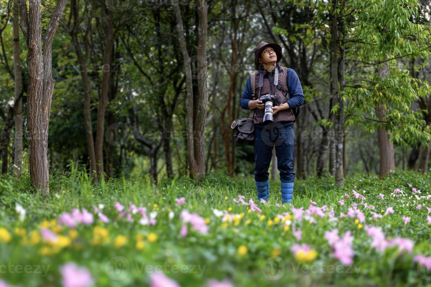 Photographer is taking photo while exploring in the woodland forest with wild flower meadow for surveying and locating rare biological diversity and ecologist on field study usage