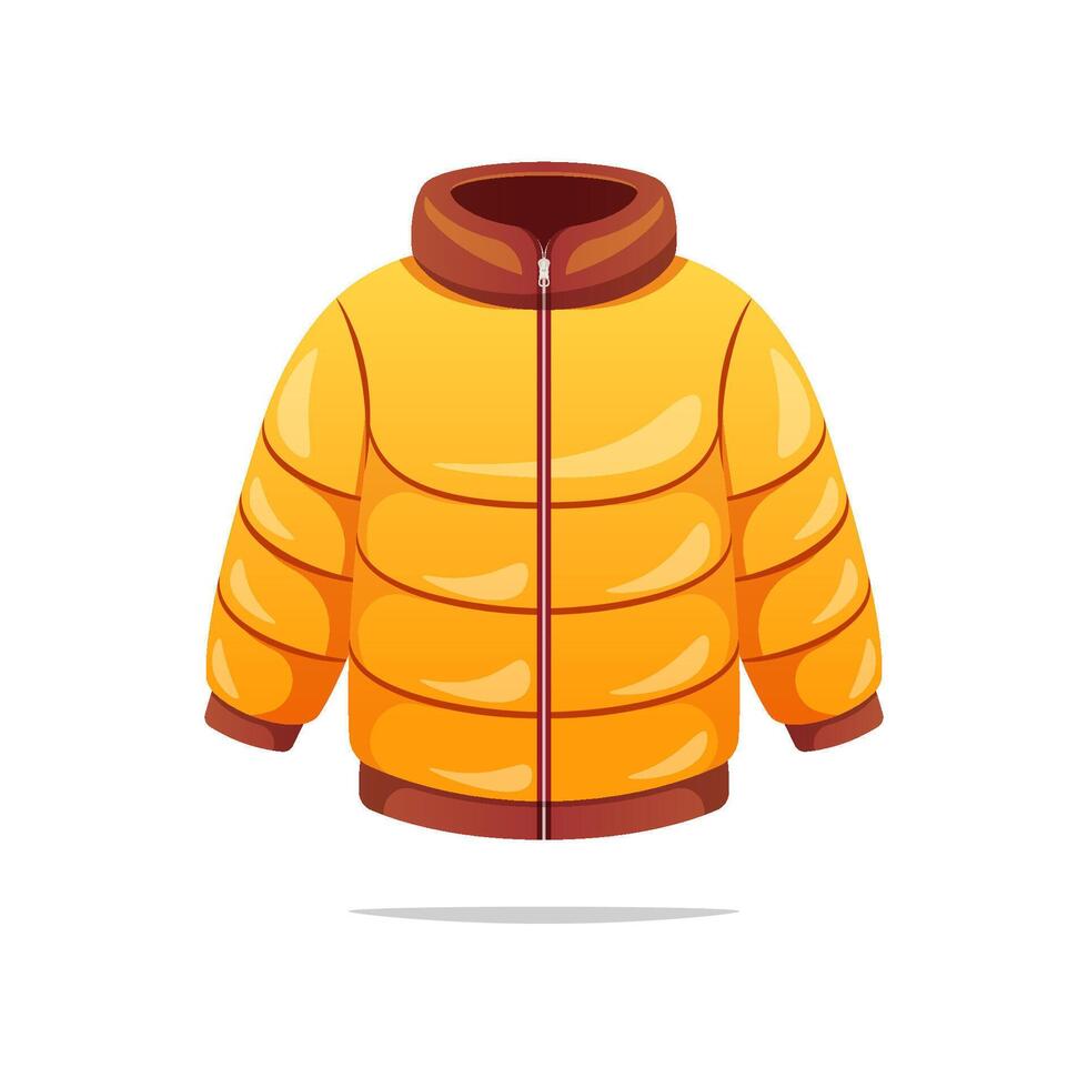 Winter jacket isolates on white background. vector