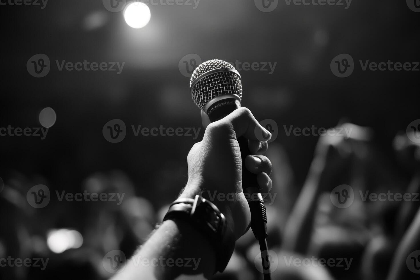 The energy and excitement of a live performance, with a hand holding up a microphone poised to capture the artist's voice photo