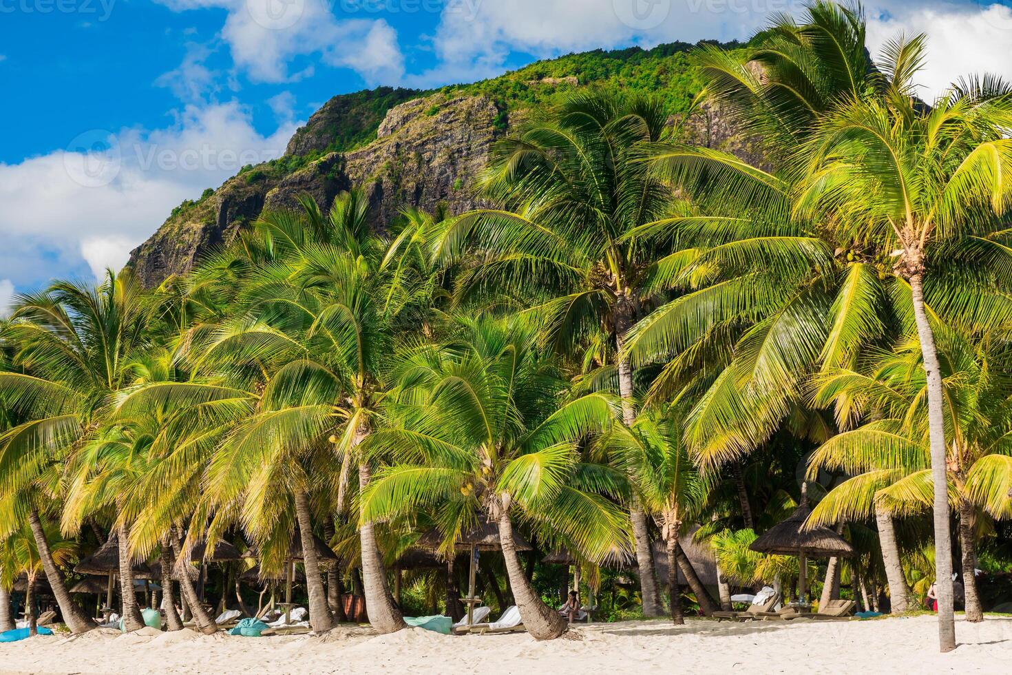 Beautiful view of tropical resort. White sand, coconut palms and blue sky in Mauritius photo