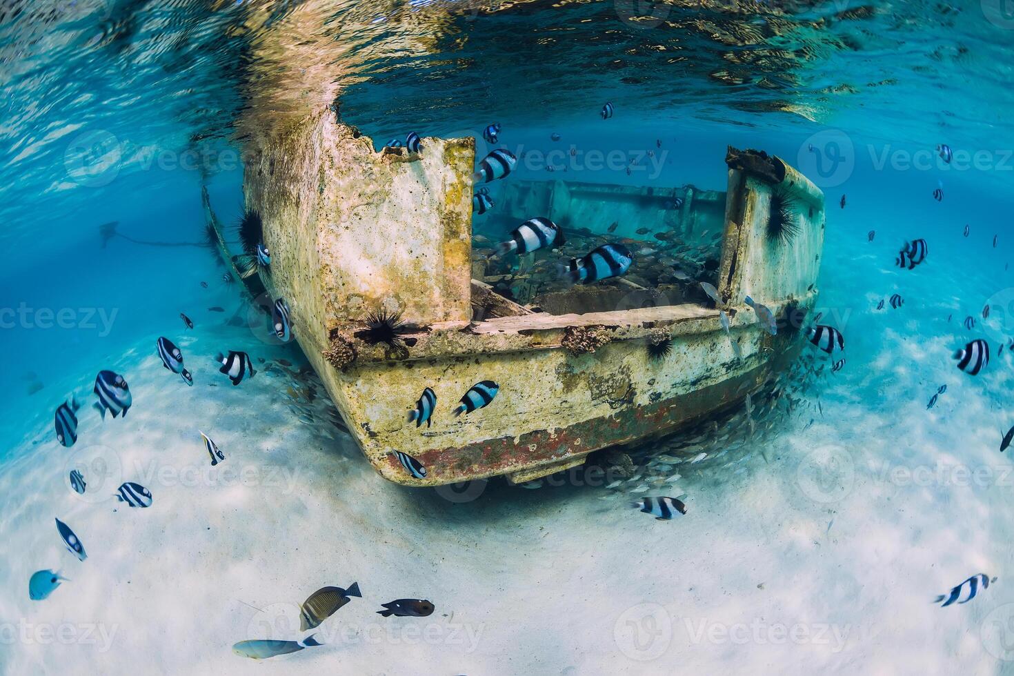 Ocean with wreck of boat on sandy bottom and tropical fish underwater in Mauritius photo