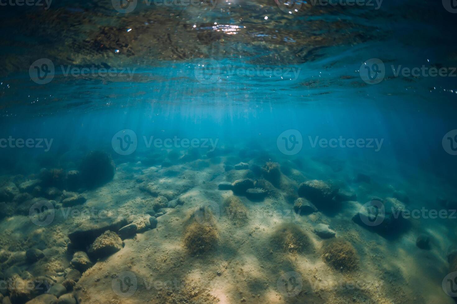 Underwater view with stones and seaweed in transparent sea. Sunlight in ocean photo