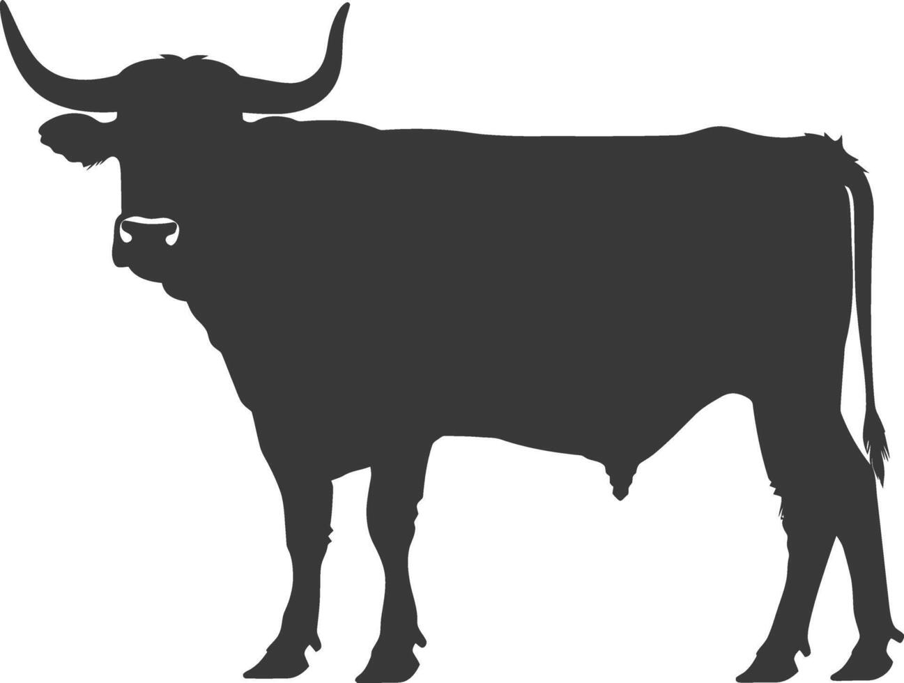 Silhouette bull animal black color only vector