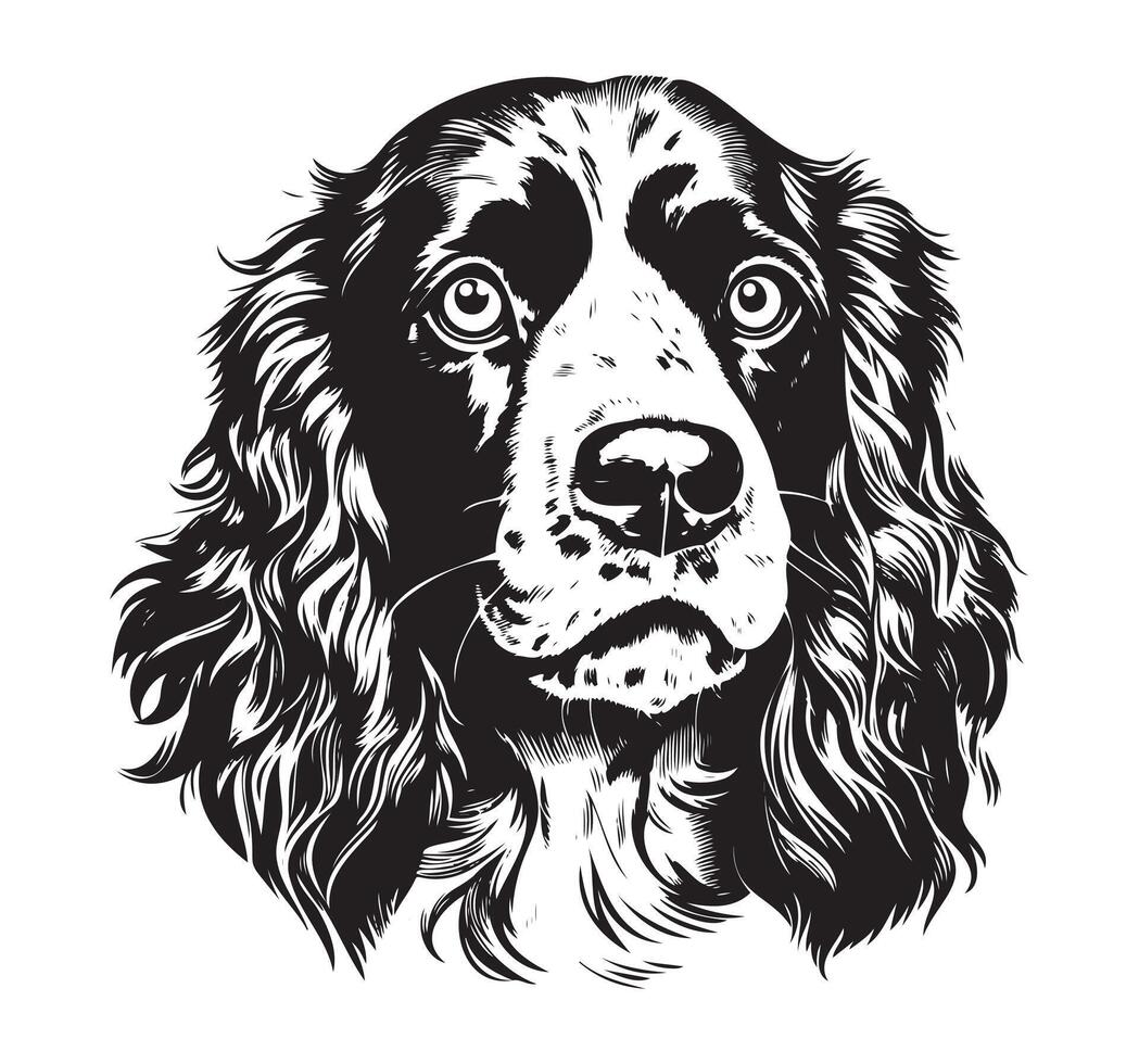 Dog breed Cocker Spaniel muzzle, sketch graphics black and white drawing vector