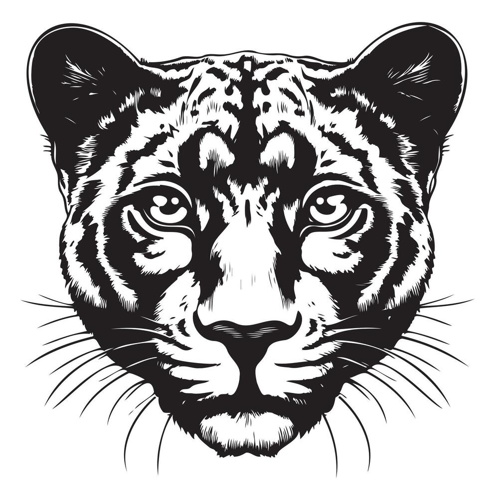 Black panther cub portrait hand drawn sketch vector