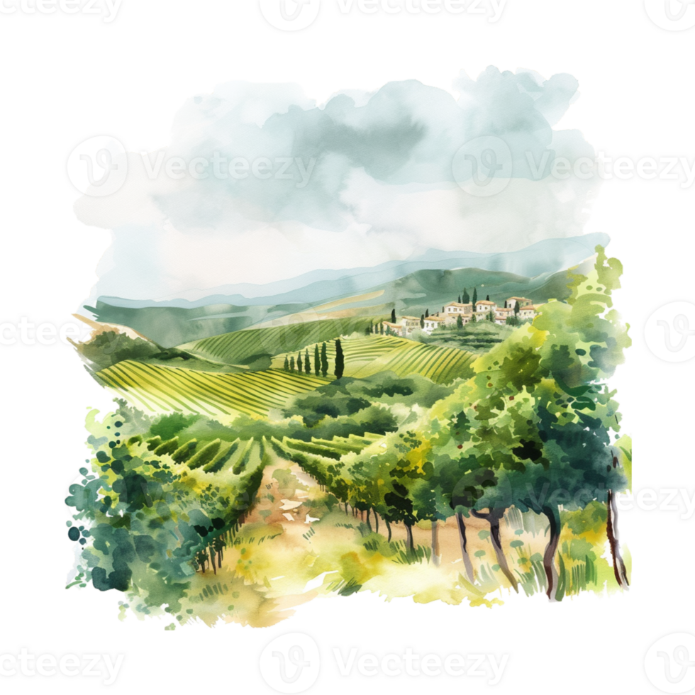 Rural landscape with vineyard fields and hills. Watercolor texture background. Hand draw design illustration for label or poster. ai png