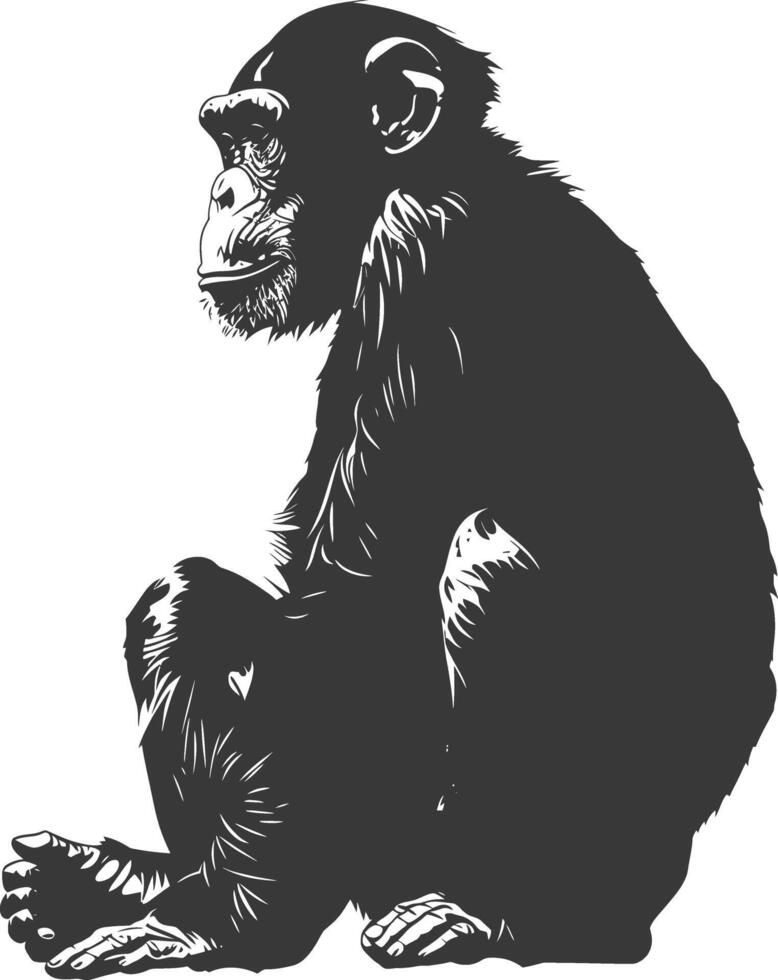 Silhouette Chimpanzee animal black color only vector