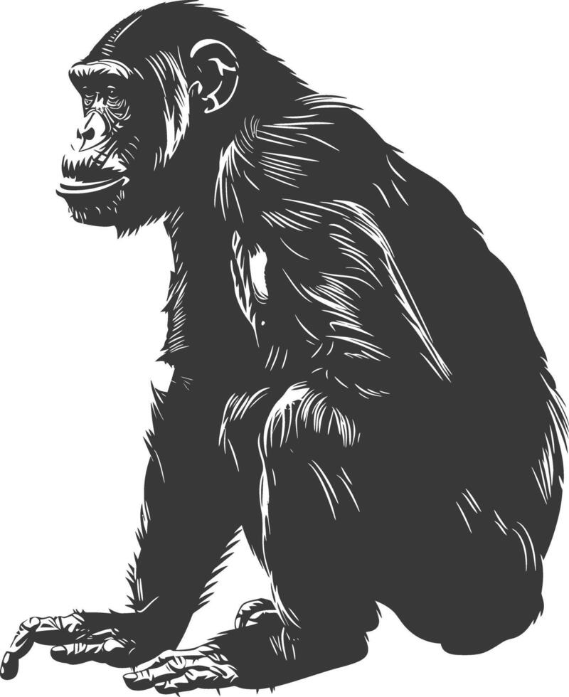 Silhouette Chimpanzee animal black color only vector