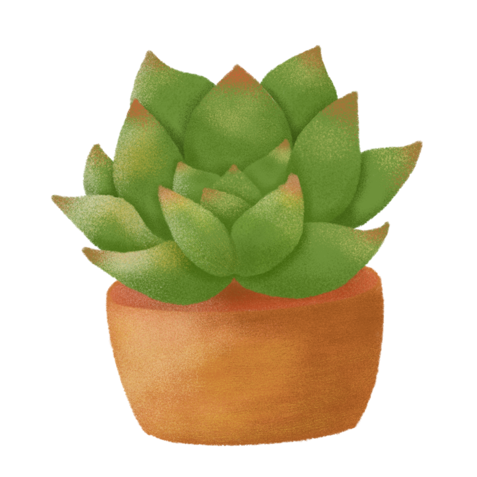 Adorable hand drawn cactus png